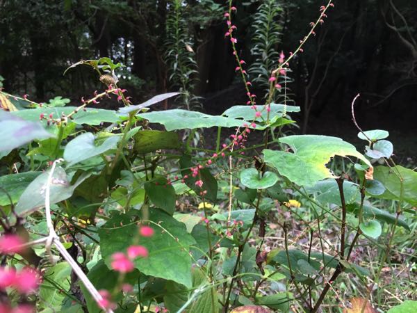 rblog-20161003090701-02.jpg