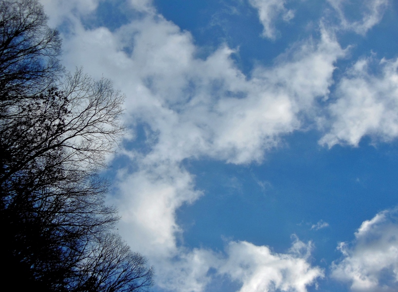 空3.JPG