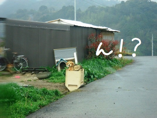 オノレはなにを？.jpg