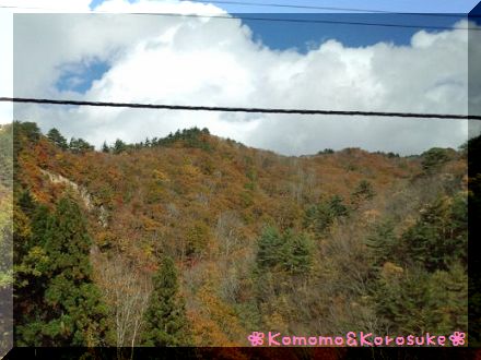 IMG_20121103_125044.jpg