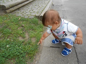 DSCN0115.JPG