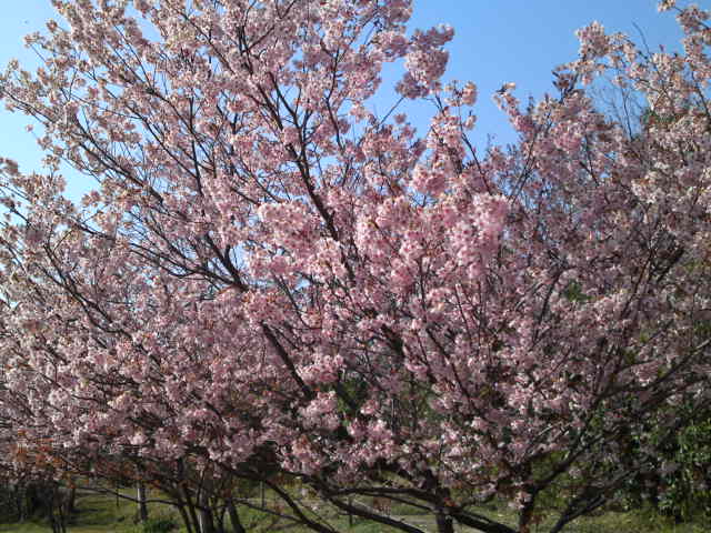 2012-03-30 17:51:56