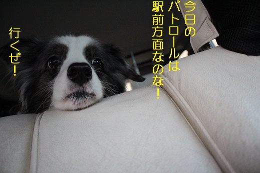 パトロール