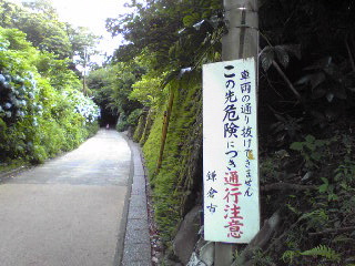 鎌倉の山道2012年７月・１