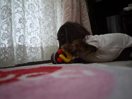 P1030794.JPG