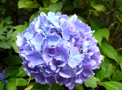 P1110448-1.JPG