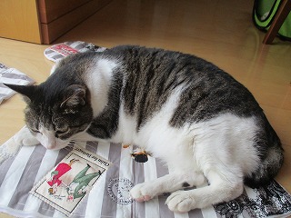 IMG_4713ss.jpg