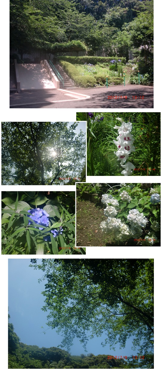 2012.07.09-2.jpg