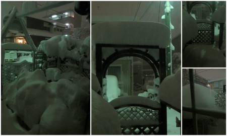 大雪のテディベアテラス1.jpg