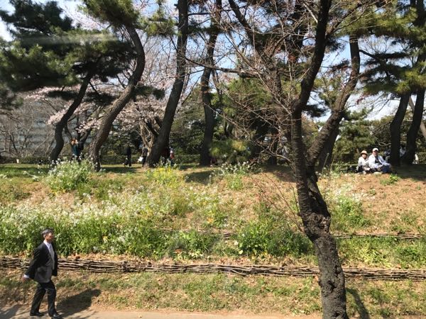 rblog-20170405192540-01.jpg