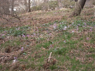 DSCN0071.jpg