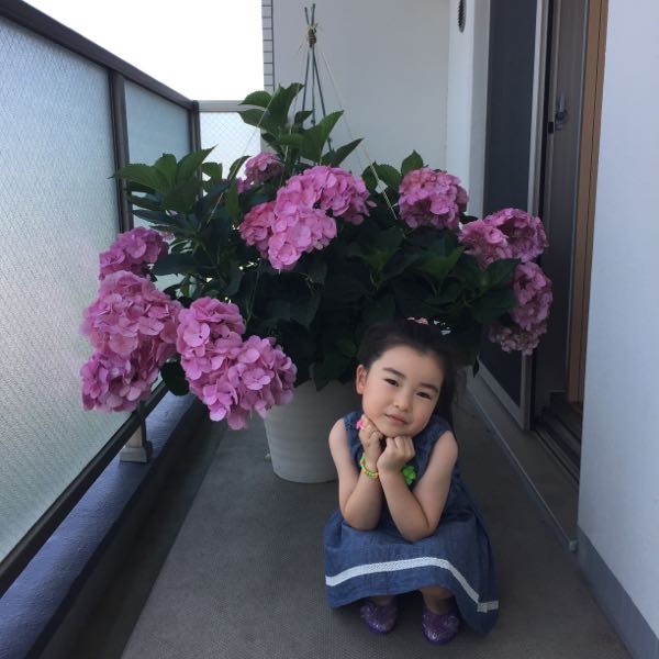rblog-20170729025327-04.jpg