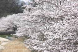 2015040401.jpg
