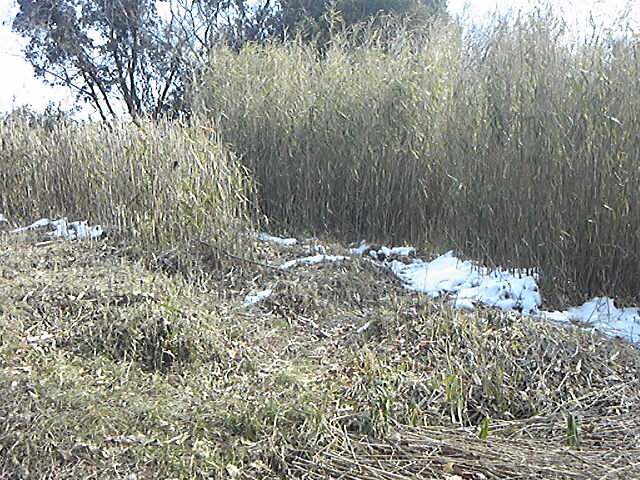 130120_103117.jpg