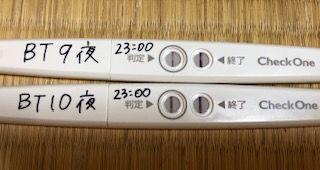 4回目の移植 凍結胚盤胞 Bt4日 Bt9日目 症状 34歳 絶賛不妊治療中 低amh 黄体機能不全 楽天ブログ