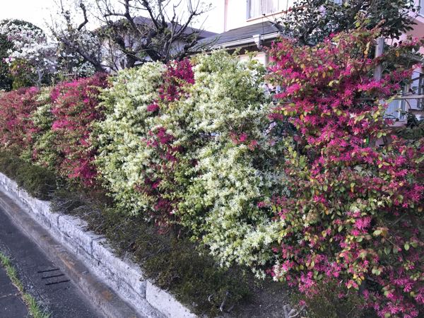rblog-20180408182003-05.jpg