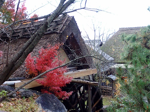 うどんのわら家 (5).JPG