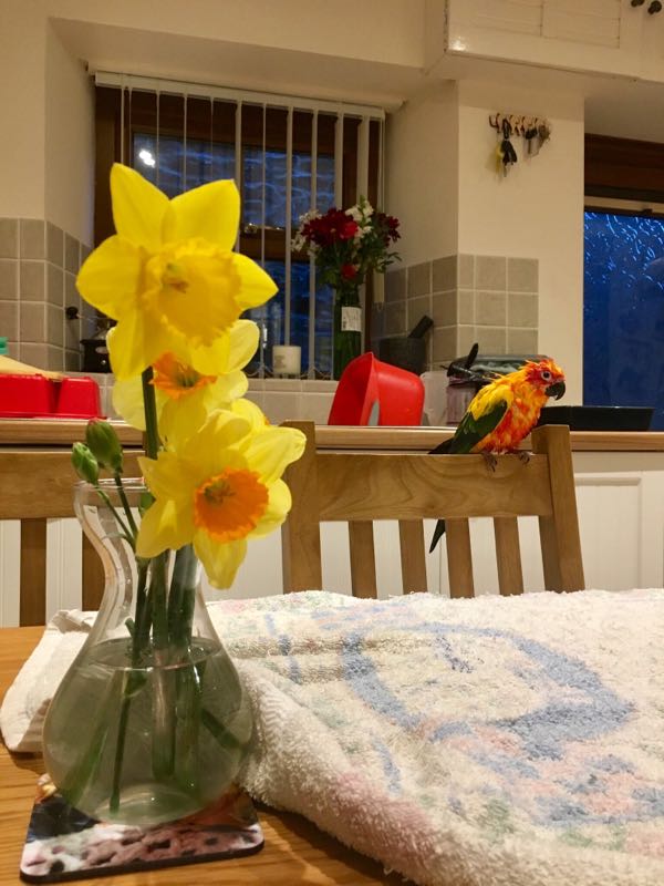 rblog-20190225204443-03.jpg