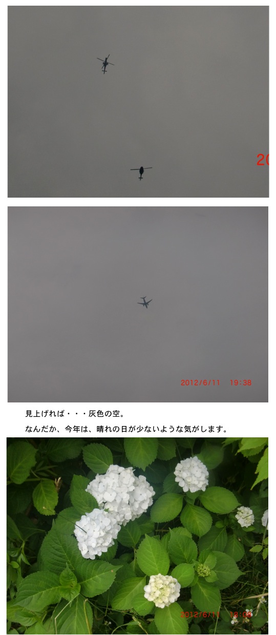 2012.06.12-4.jpg