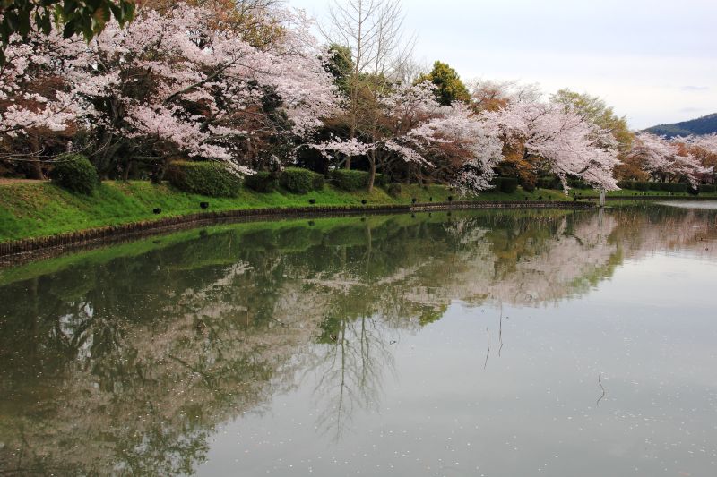 大沢池_002.jpg