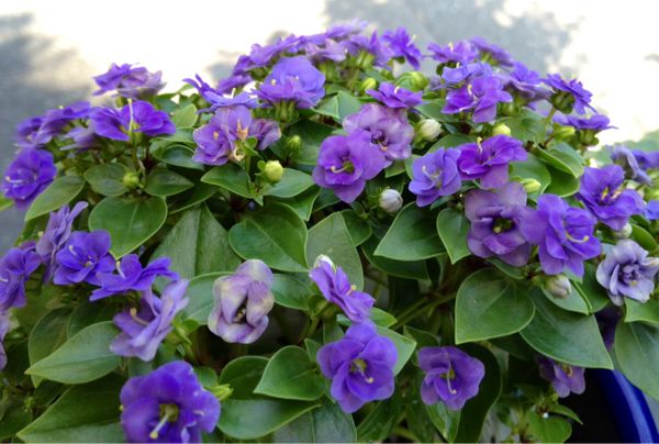 rblog-20140730130525-00.jpg