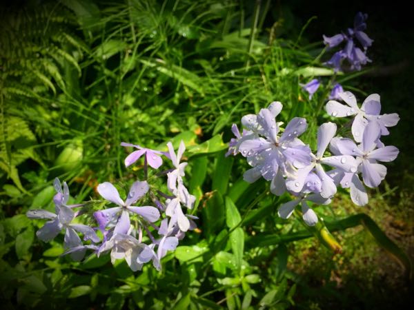 rblog-20150428203749-00.jpg
