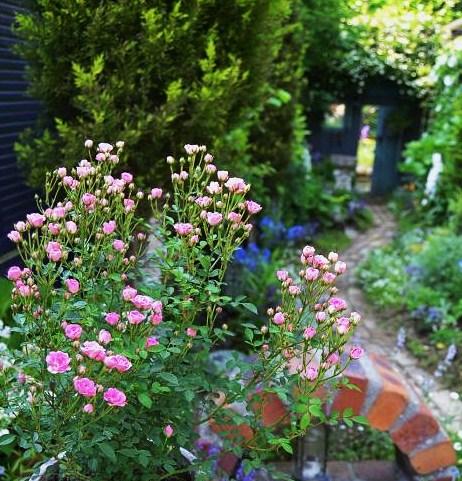 DSC_0407.JPG