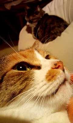12020316.JPG