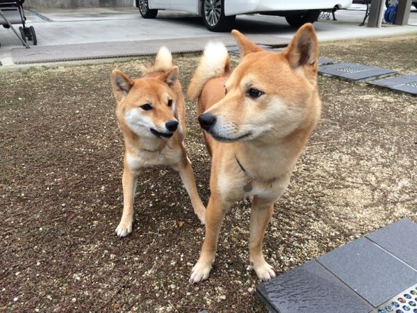 rblog-20160115030411-02.jpg