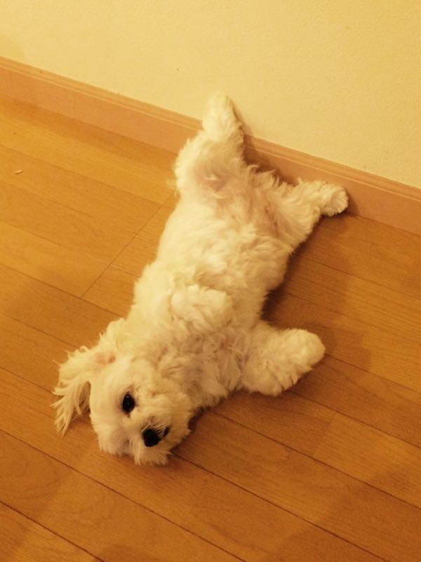 rblog-20150801165948-03.jpg