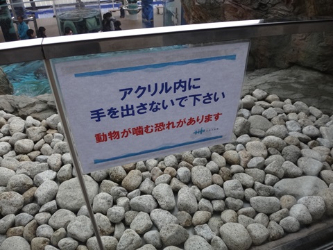 DSC04362.JPG