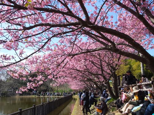 小松ヶ池公園