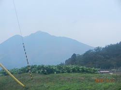 DSCN8402.jpg