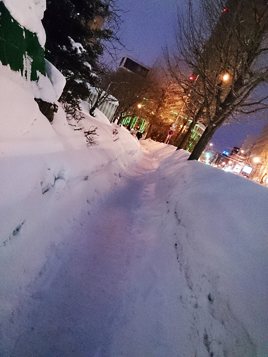 DSC_0142.jpg