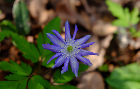 2016 03 31_2233.jpg