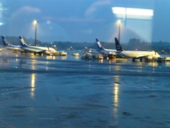 P1010163.JPG