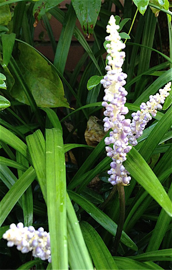 rblog-20140730130525-03.jpg