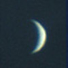 venus.jpg