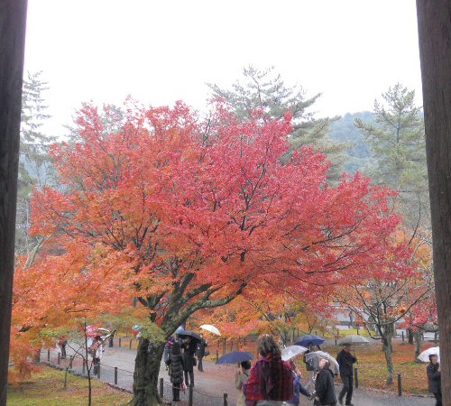 2012-11 南禅寺三門の紅葉.jpg