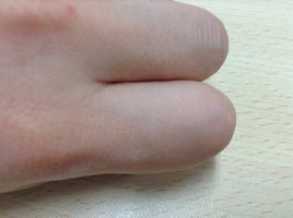 写真 2 (コピー).JPG