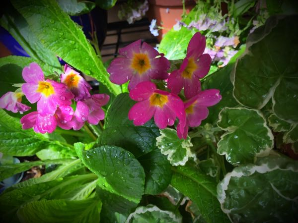 rblog-20160426005323-08.jpg
