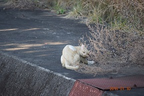 DSC_0008.JPG