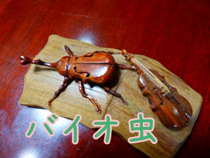 バイオ虫.JPG
