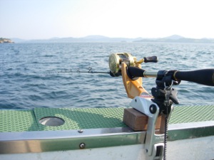 06.JPG