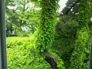 20120617_171427.jpg