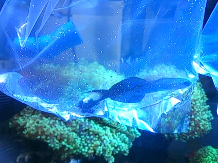 DSC_1040.jpg