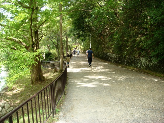 DSC03449.jpg