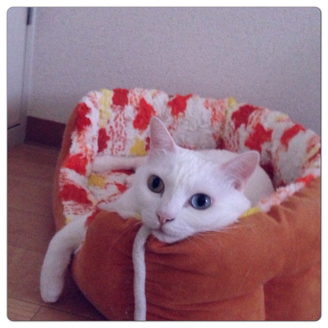 rblog-20130725182209-00.jpg
