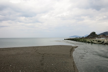 IMG_9968.jpg