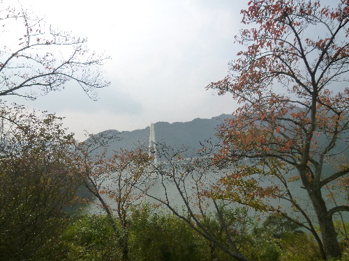 P1130551(1).JPG